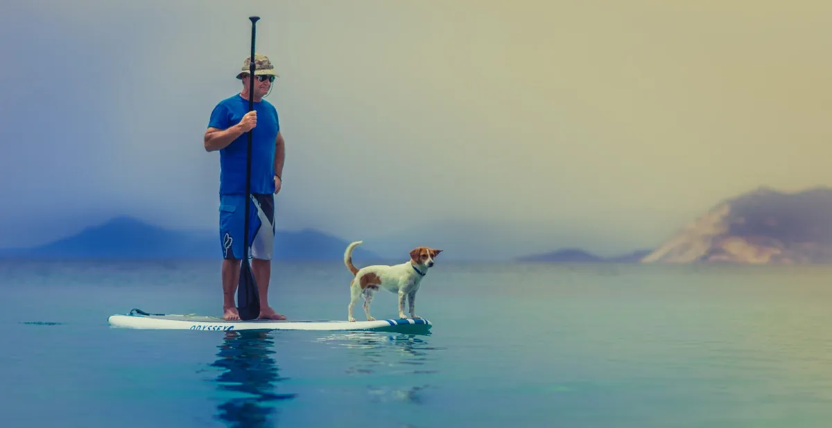 Paddle Surf